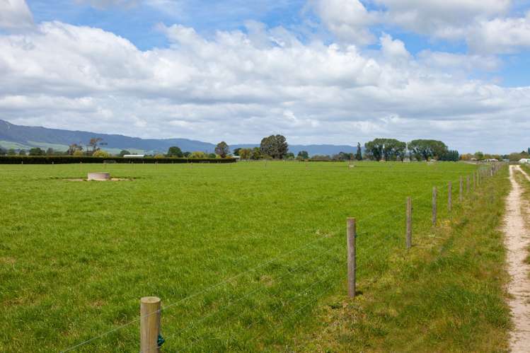 121 Tower Road Matamata_17