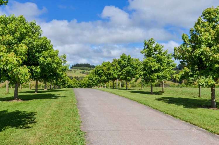 273 Forestry Road Waitoki_50