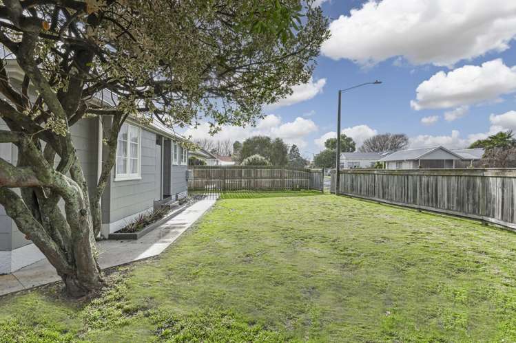 500 Hinau Street Saint Leonards_14