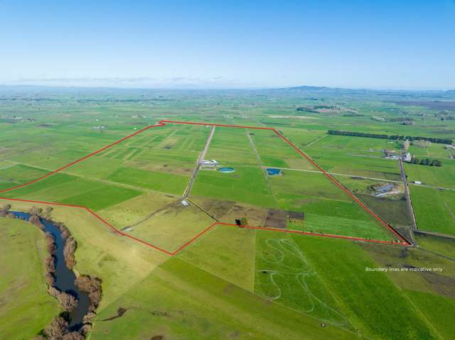 355 Endowment Road Te Aroha_3