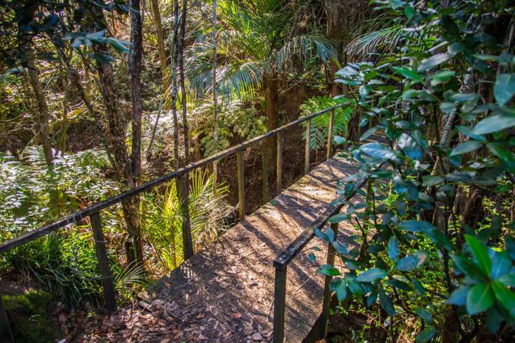 198 Cames Road Mangawhai_6