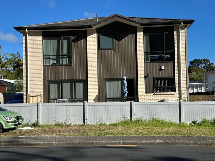 30A Godley Road_0