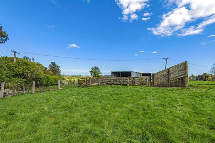 74 Galpins Road Marton_13