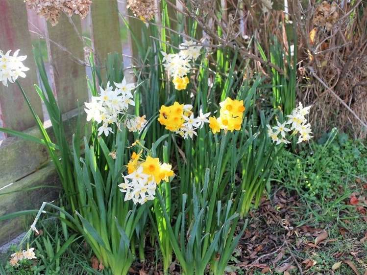 172 Beach Road Kaikoura_6