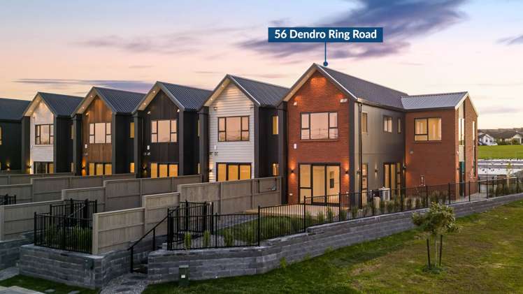 56 Dendro Ring Road_0