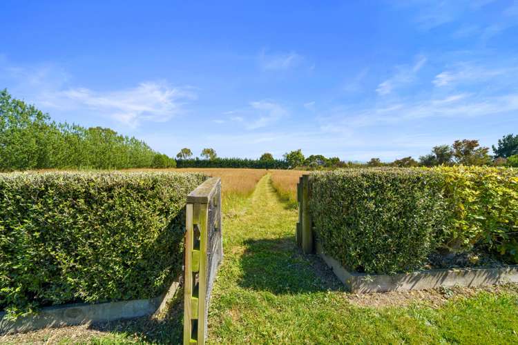 12 Hawkins Drive Martinborough_17