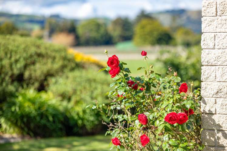 299, 1/289 2/289 Thornton Road Cambridge_13