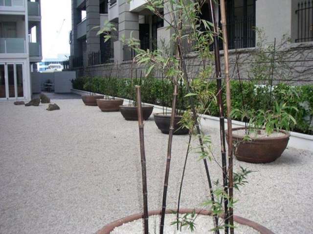 2007/10 Waterloo Quadrant Auckland Central_3