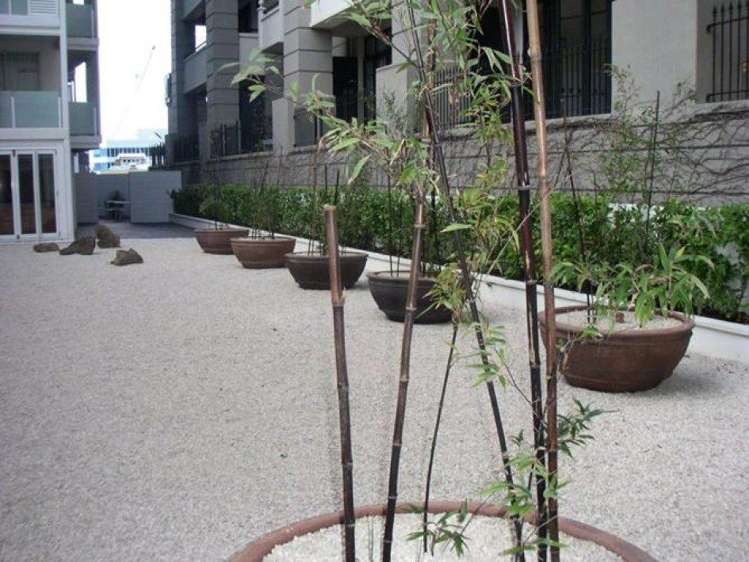 2007/10 Waterloo Quadrant Auckland Central_3