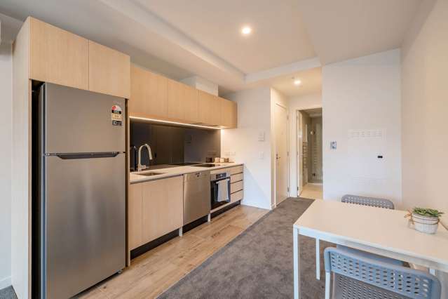 209A/428 Dominion Road Mt Eden_3