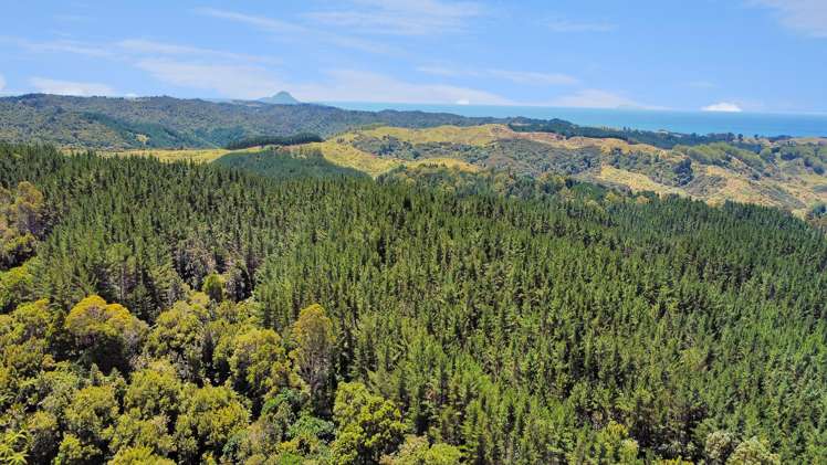 700 Burma Road Maraetotara_9