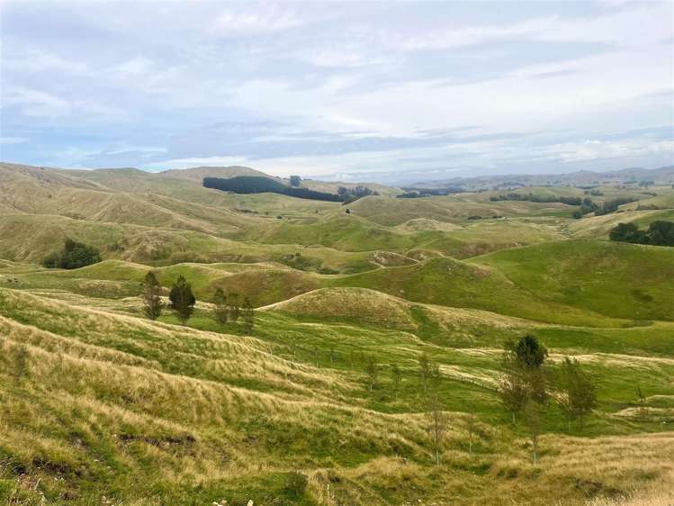 2580 Pourerere Road Central Hawkes Bay Coastal_36