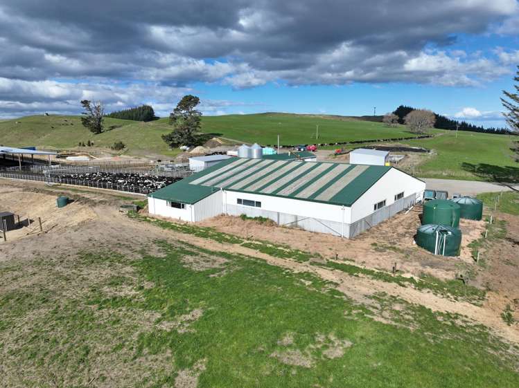 3986 Puketitiri Road Patoka_11