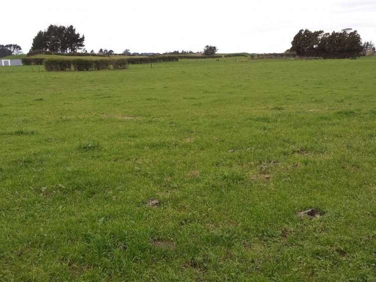 1102 Mangorei Road Mangorei_17