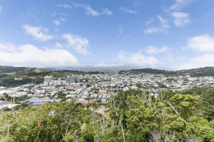 2b Pearce Street Vogeltown_2