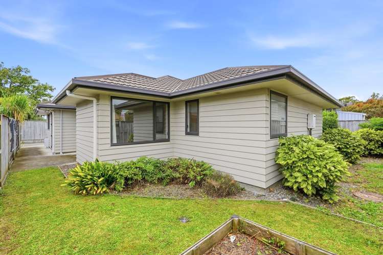 46 Ward Street Palmerston North_22