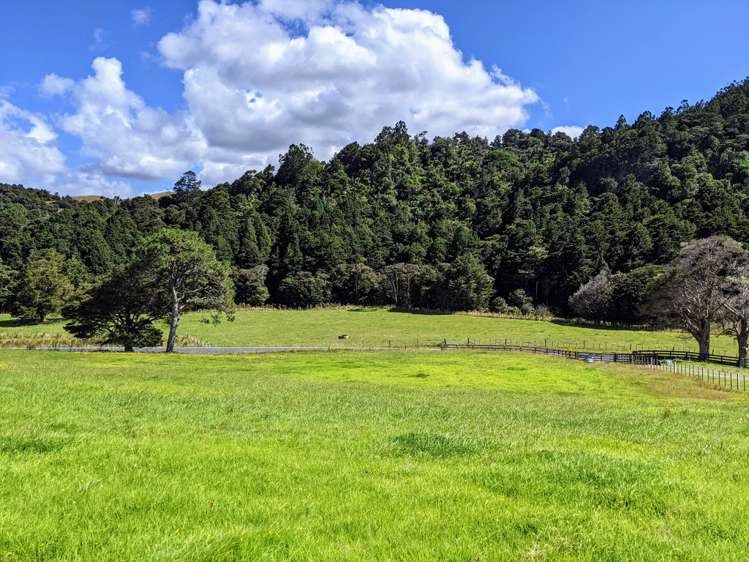 634 West Coast Road Makarau_7