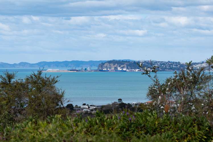 9 Kaimata Road, Pacific Heights Bay View_27