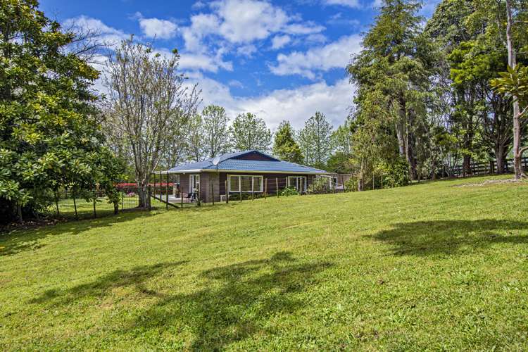 151 Millington Road Maunu_27