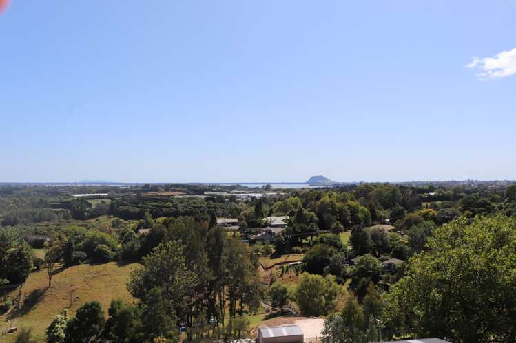 13 Corbett Drive Wairoa_18