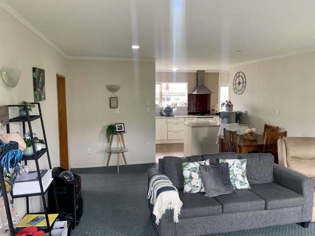 4B Hinau Street 2752_2
