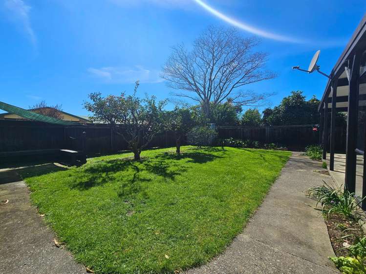 9 Owen Place Springlands_15