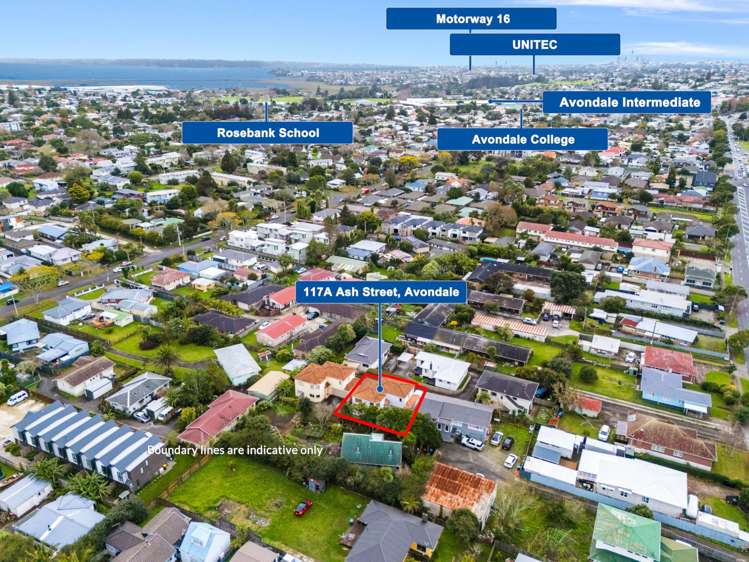 117a Ash Street Avondale_9