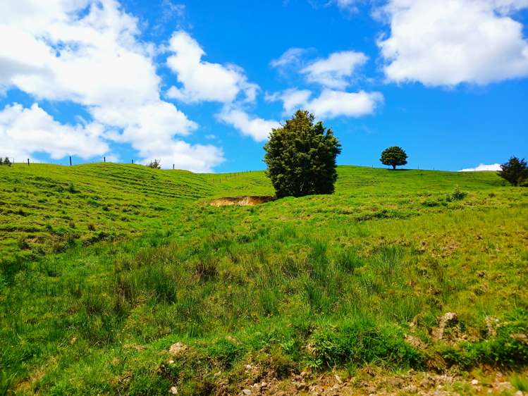 Lot 2 Otangaroa Road Kaeo_23