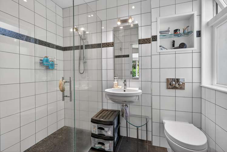 31 Nikau Street Eastbourne_20