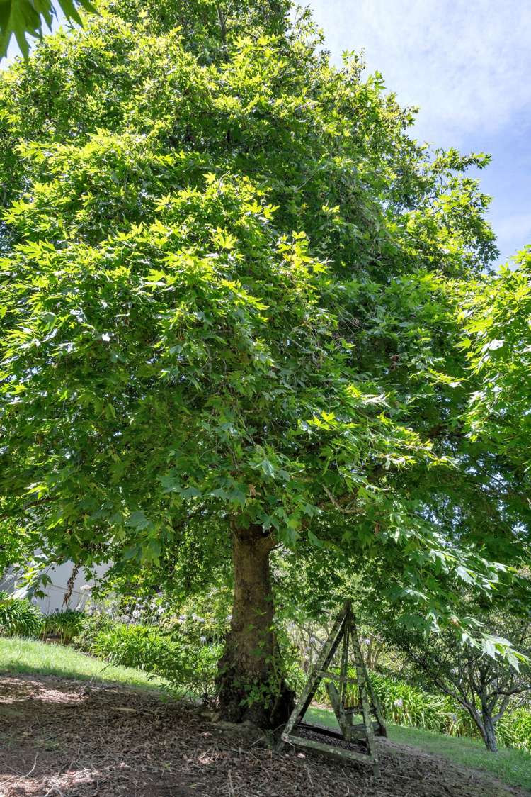 12 Tiffany Close Totara Park_42