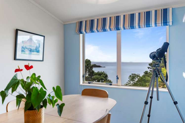 6 Kowhai Terrace Leigh_6