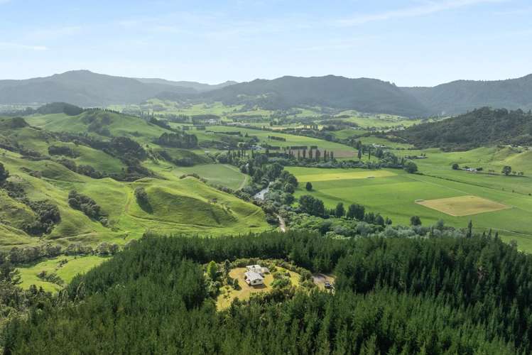 112 Hikuai School Road, Hikuai Tairua_2