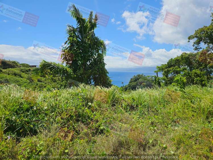 Address withheld Savusavu_15