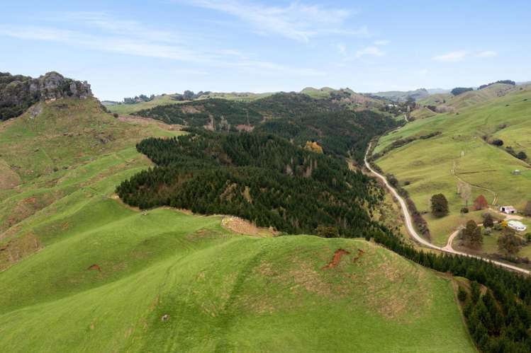 124 Haku Road Mangaotaki_20