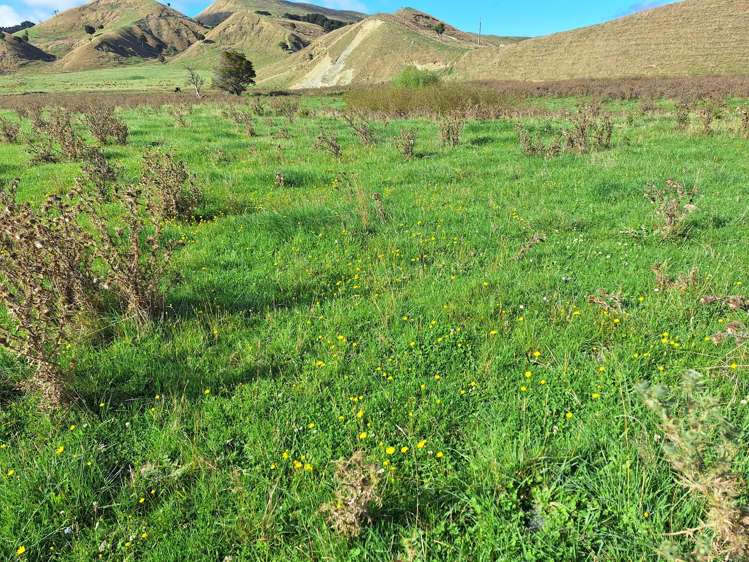 Mangaone Road Pongaroa_8