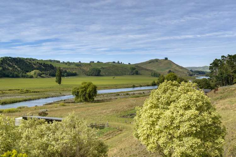 526 River Road Otane_3