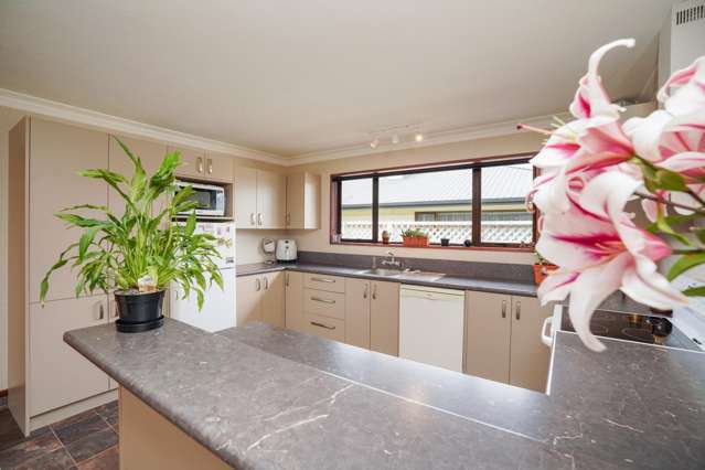 22 Craig Street Waikiwi_3