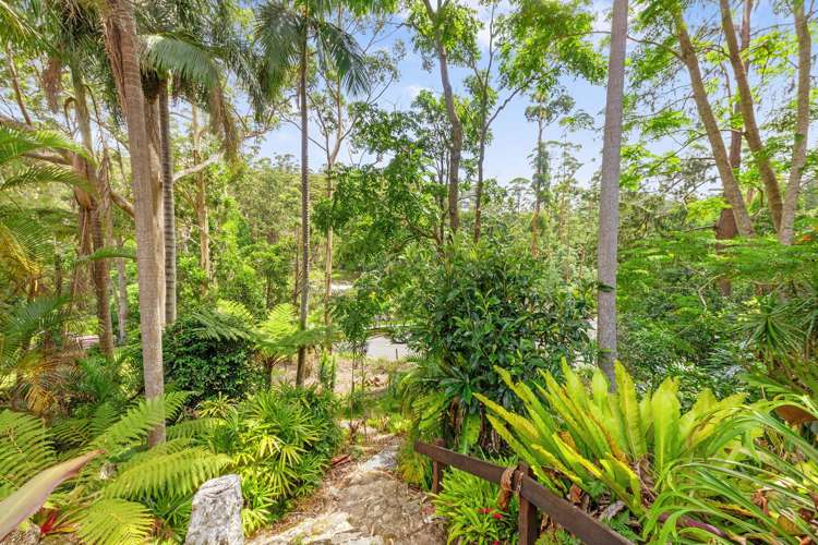 46 Kinabalu Drive Tamborine Mountain_21