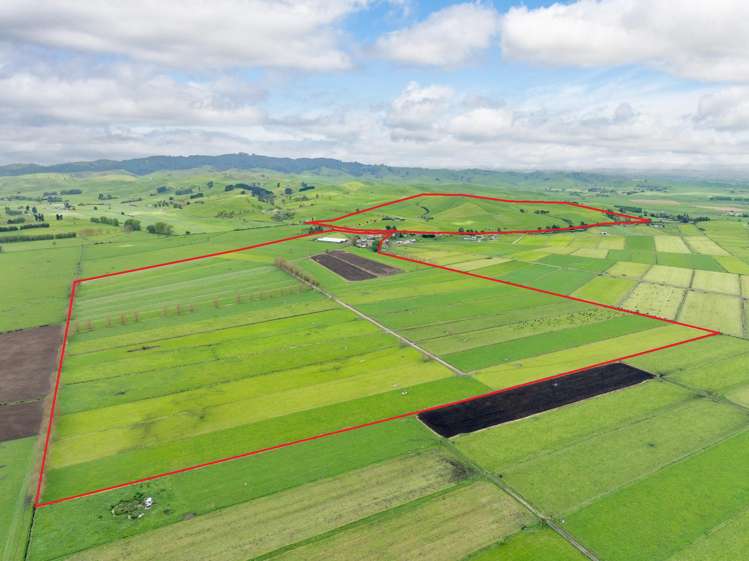 435 and 452 Tainui Road Morrinsville_33