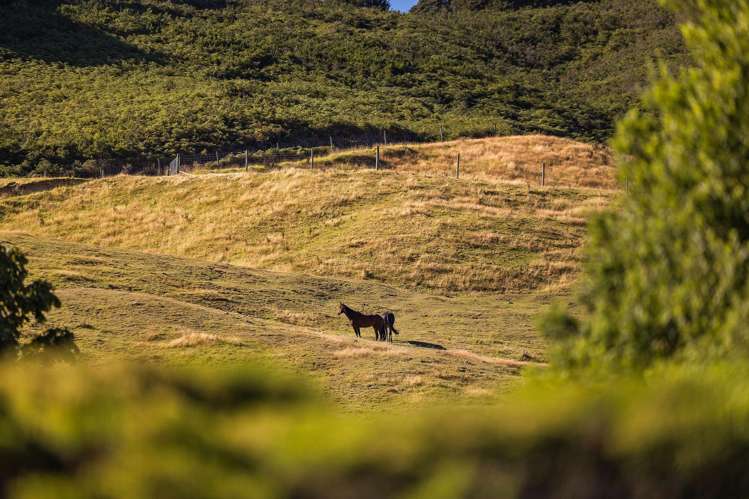 48 Nereus Way Glenorchy_16