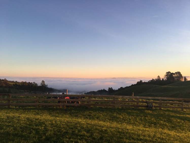 663 Maungakawa Road Te Miro_9