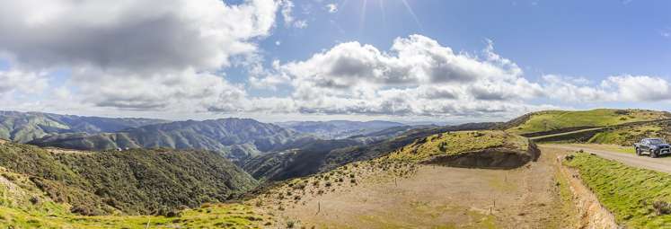 452 Southernthread Road Brooklyn_12