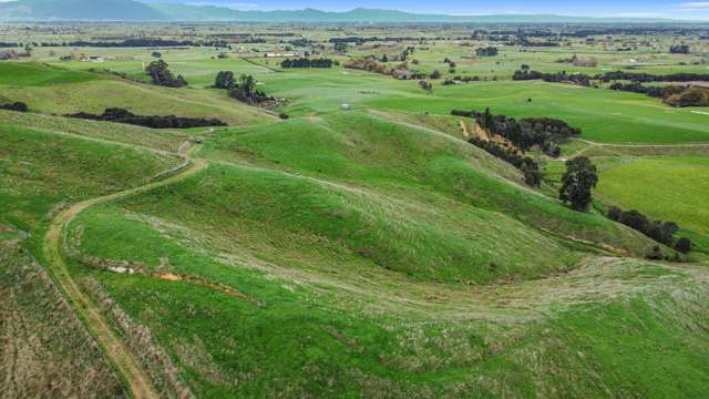 364 Quine Road Tahuna_4