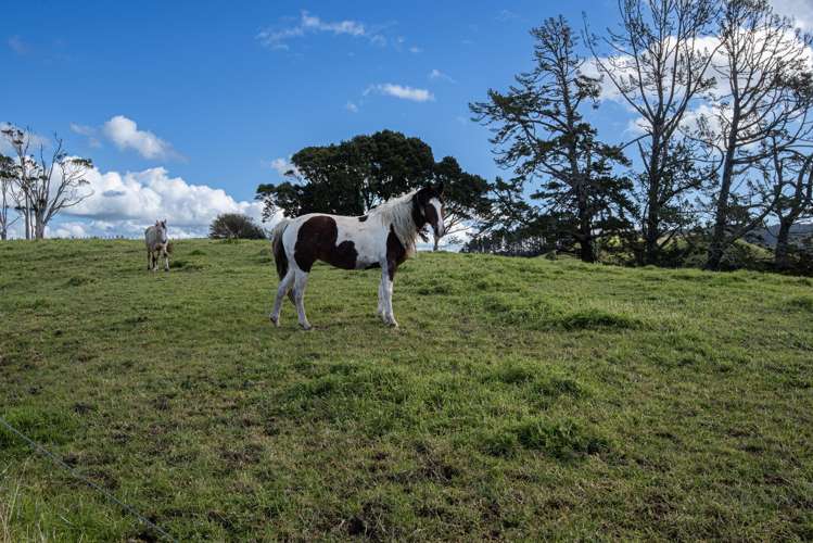 1043 Whananaki North Road Opuawhanga_25