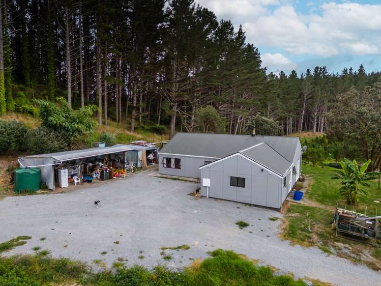 110 Whangape Track Road Broadwood_3