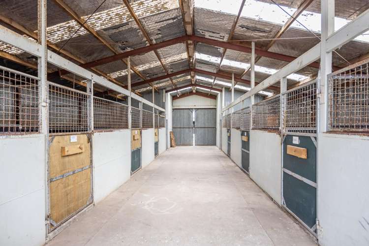 4602A State Highway 29 Matamata_8