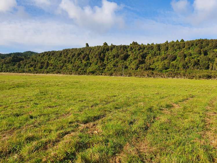 Blue Spur Road Hokitika_11
