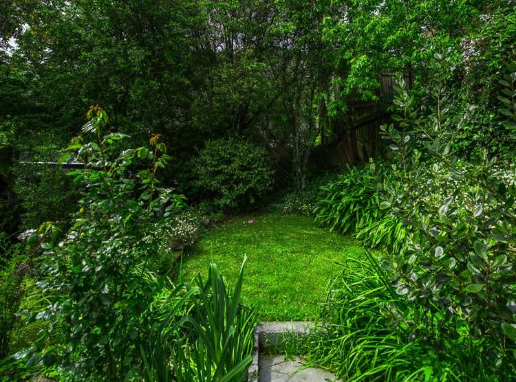 75 Campbell Street Nelson South_24