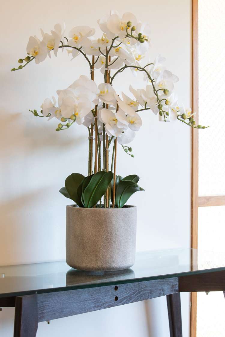 30 Takaro Avenue Sockburn_18