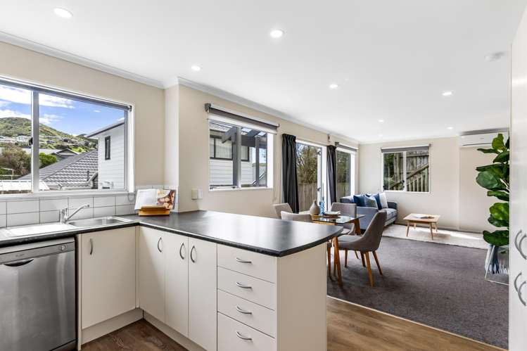 15b Fisher Street Johnsonville_1